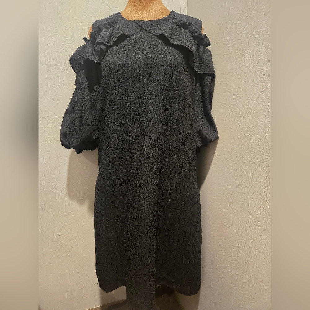 Hilary Radley Black Long Sleeve Dress